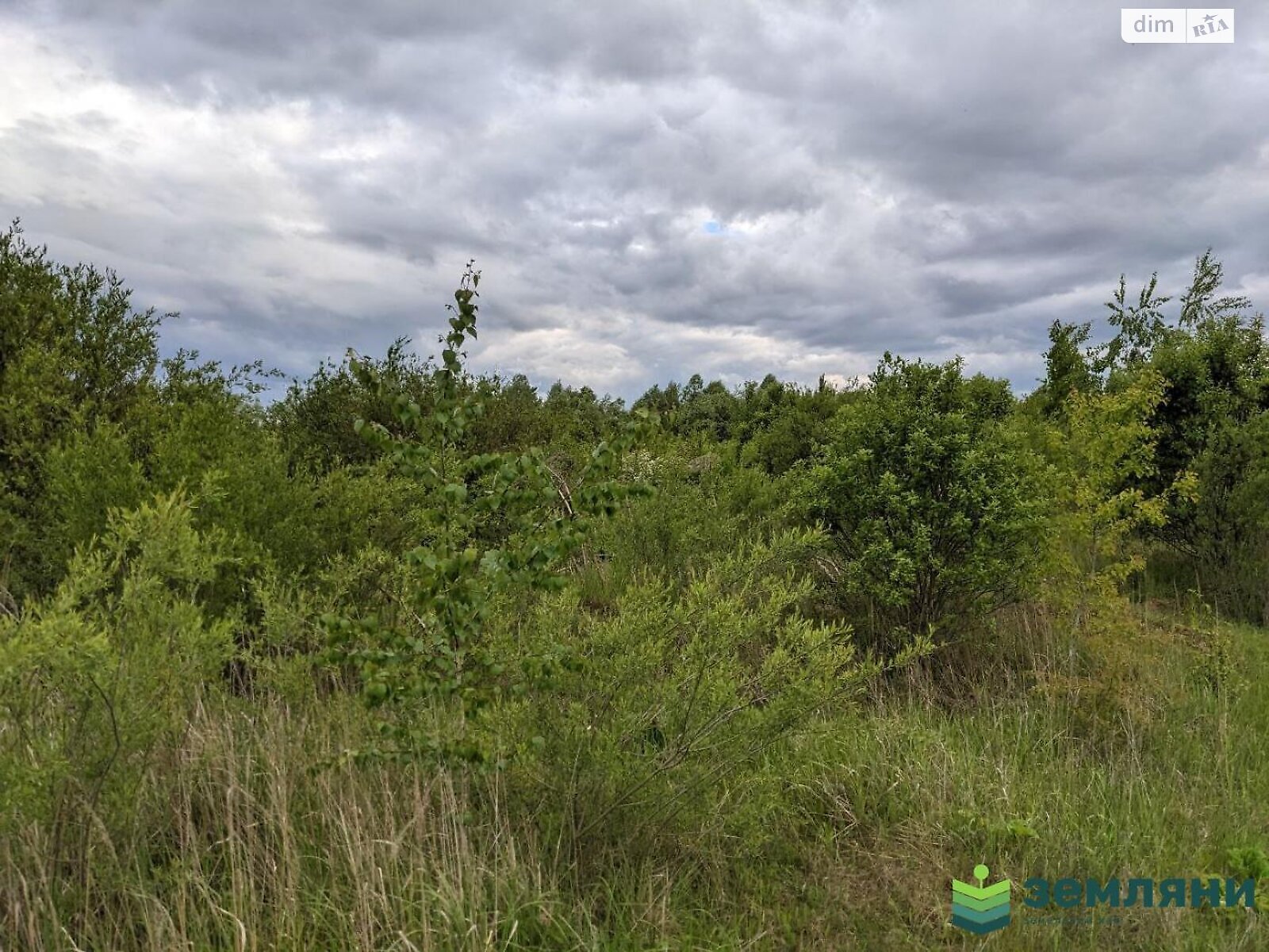 Земельный участок под жилую застройку в Старом Лисце, площадь 10 соток фото 1 Земельный участок под жилую застройку в Старом Лисце, площадь 10 соток фото 1