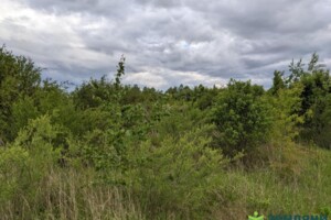 Земельна ділянка під житлову забудову в Старому Лисці, площа 10 соток фото 2