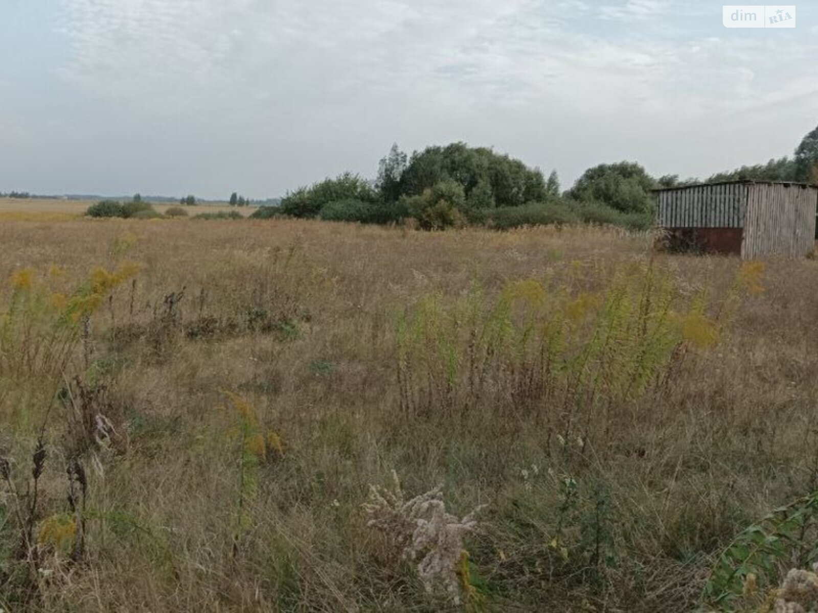 Земельна ділянка під житлову забудову в Ставище, площа 40 соток фото 1