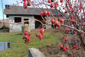 Земельный участок под жилую застройку в Стебнике, площадь 10 соток фото 2