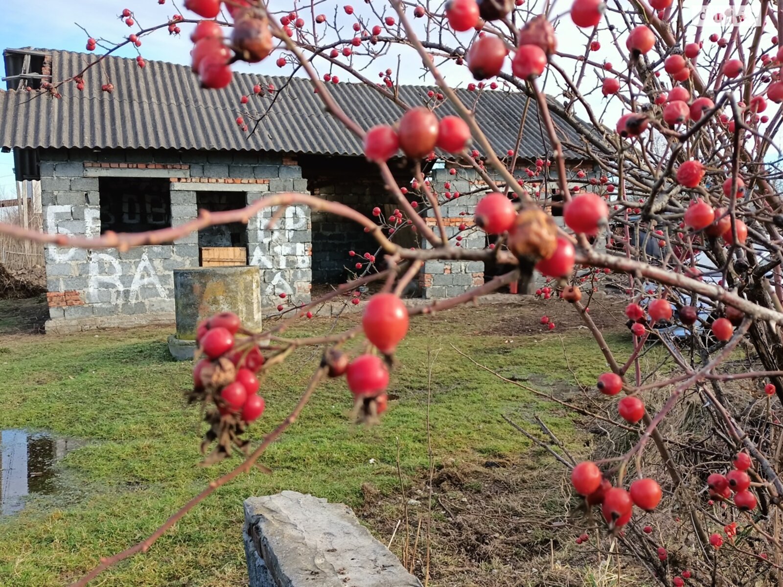 Земельный участок под жилую застройку в Стебнике, площадь 10 соток фото 1