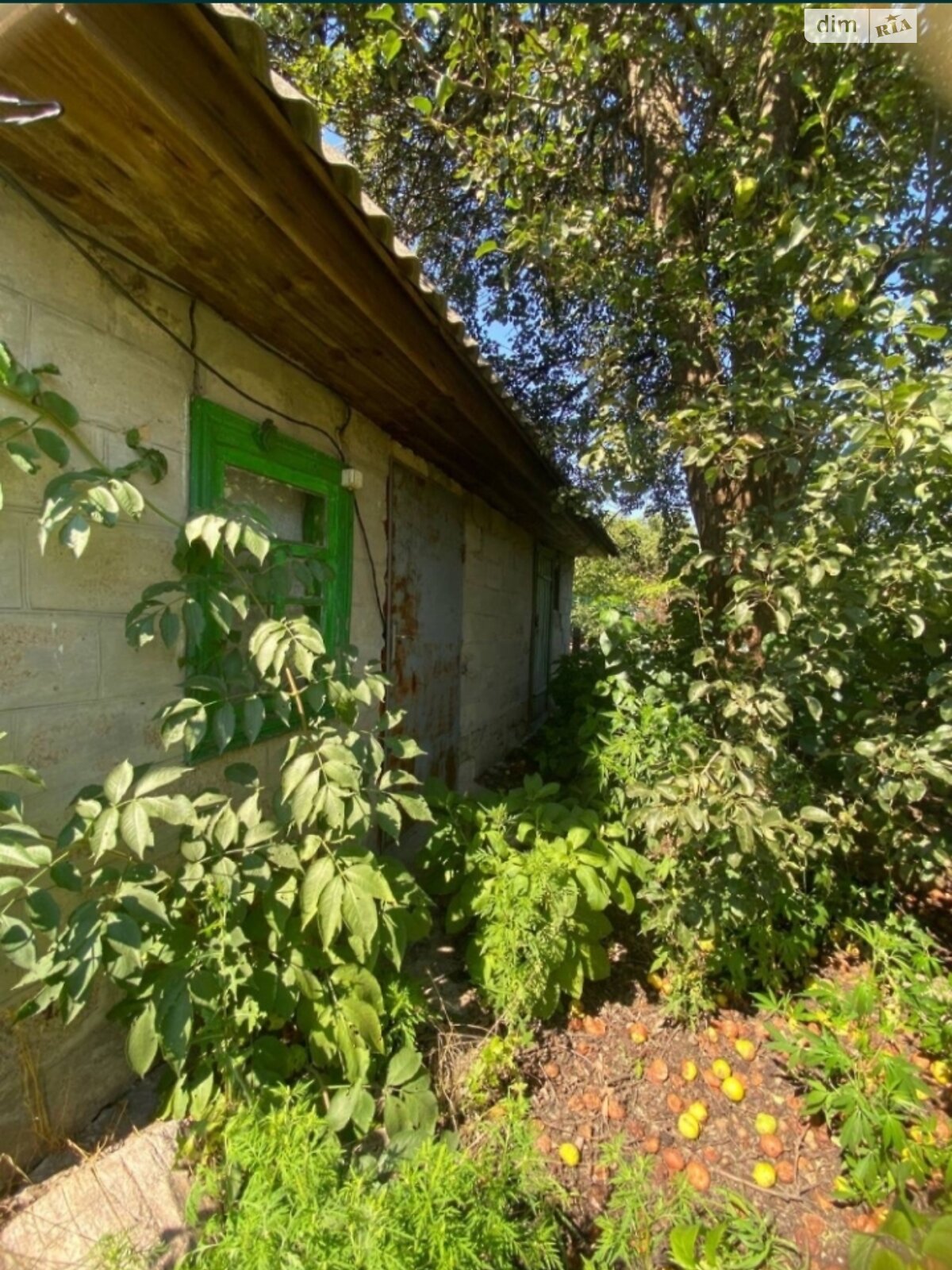 Земельный участок под жилую застройку в Степанках, площадь 25 соток фото 1