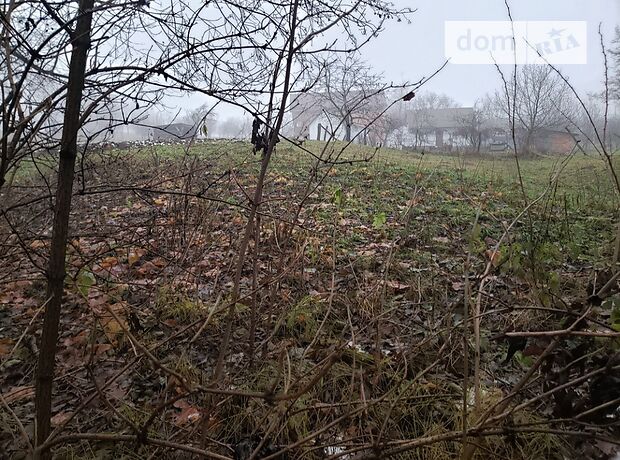 Земля под жилую застройку в селе Каменная, площадь 25 соток фото 1 Земля под жилую застройку в селе Каменная, площадь 25 соток фото 1
