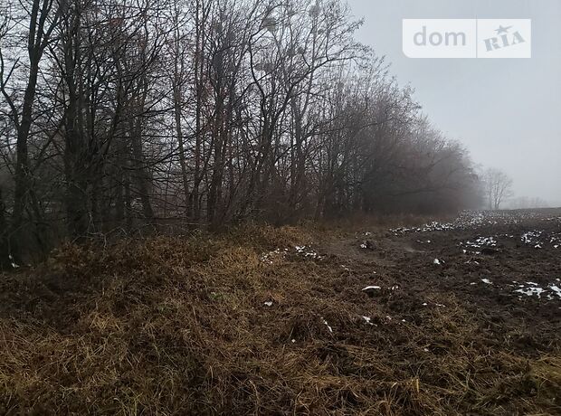 Земля под жилую застройку в селе Каменная, площадь 25 соток фото 1 Земля под жилую застройку в селе Каменная, площадь 25 соток фото 1