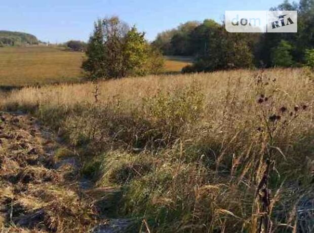 Земля под жилую застройку в селе Каменная, площадь 25 соток фото 1 Земля под жилую застройку в селе Каменная, площадь 25 соток фото 1
