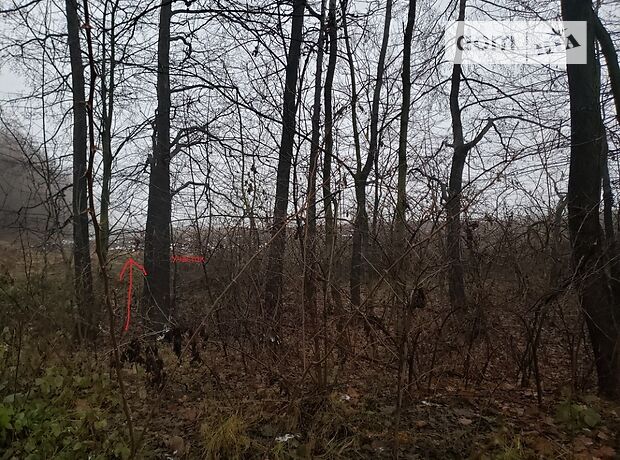 Земля под жилую застройку в селе Каменная, площадь 25 соток фото 1 Земля под жилую застройку в селе Каменная, площадь 25 соток фото 1