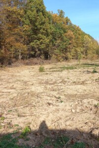 Земля под жилую застройку в Сторожинце, район Сторожинец, площадь 0.065 сотки фото 2