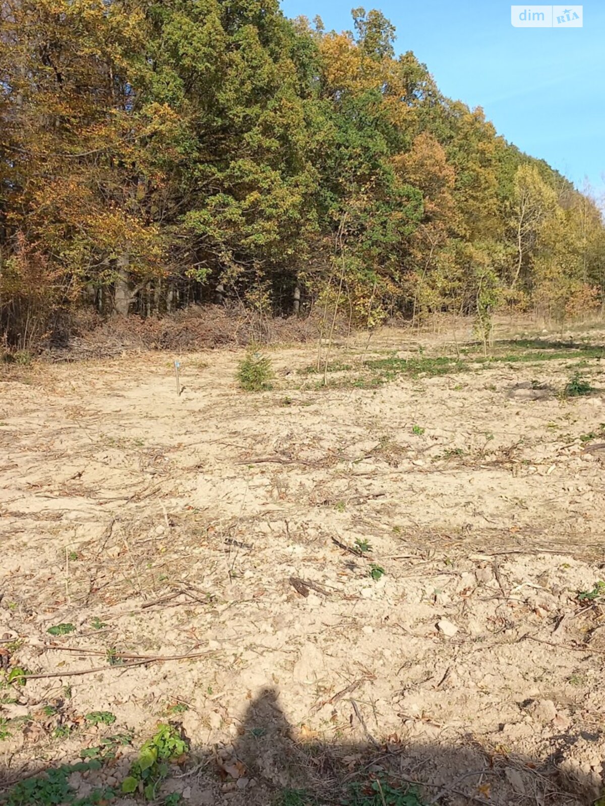 Земля под жилую застройку в Сторожинце, район Сторожинец, площадь 0.065 сотки фото 1