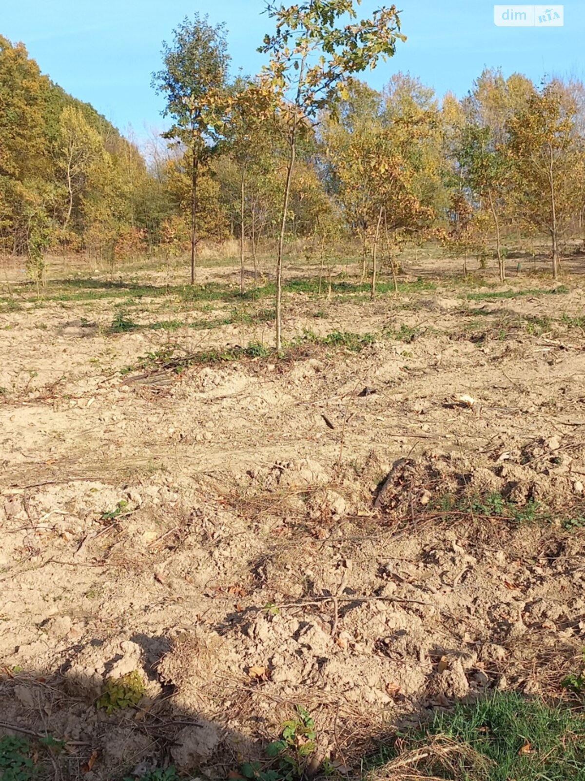 Земля под жилую застройку в Сторожинце, район Сторожинец, площадь 0.065 сотки фото 1