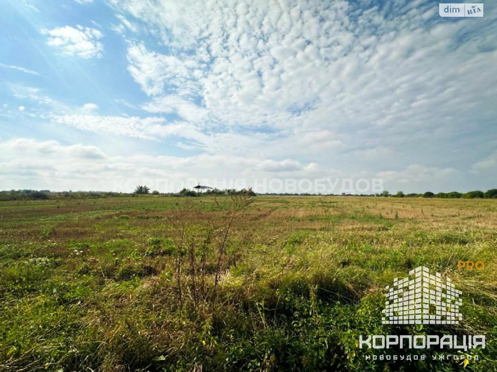 Земельный участок под жилую застройку в Сторожнице, площадь 412 соток фото 1