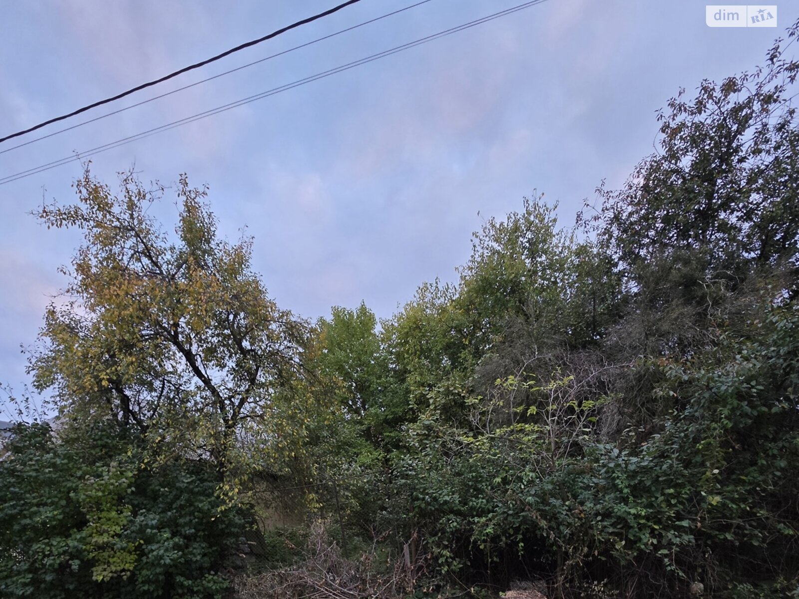 Земельна ділянка під житлову забудову в Сторожниці, площа 22 сотки фото 1