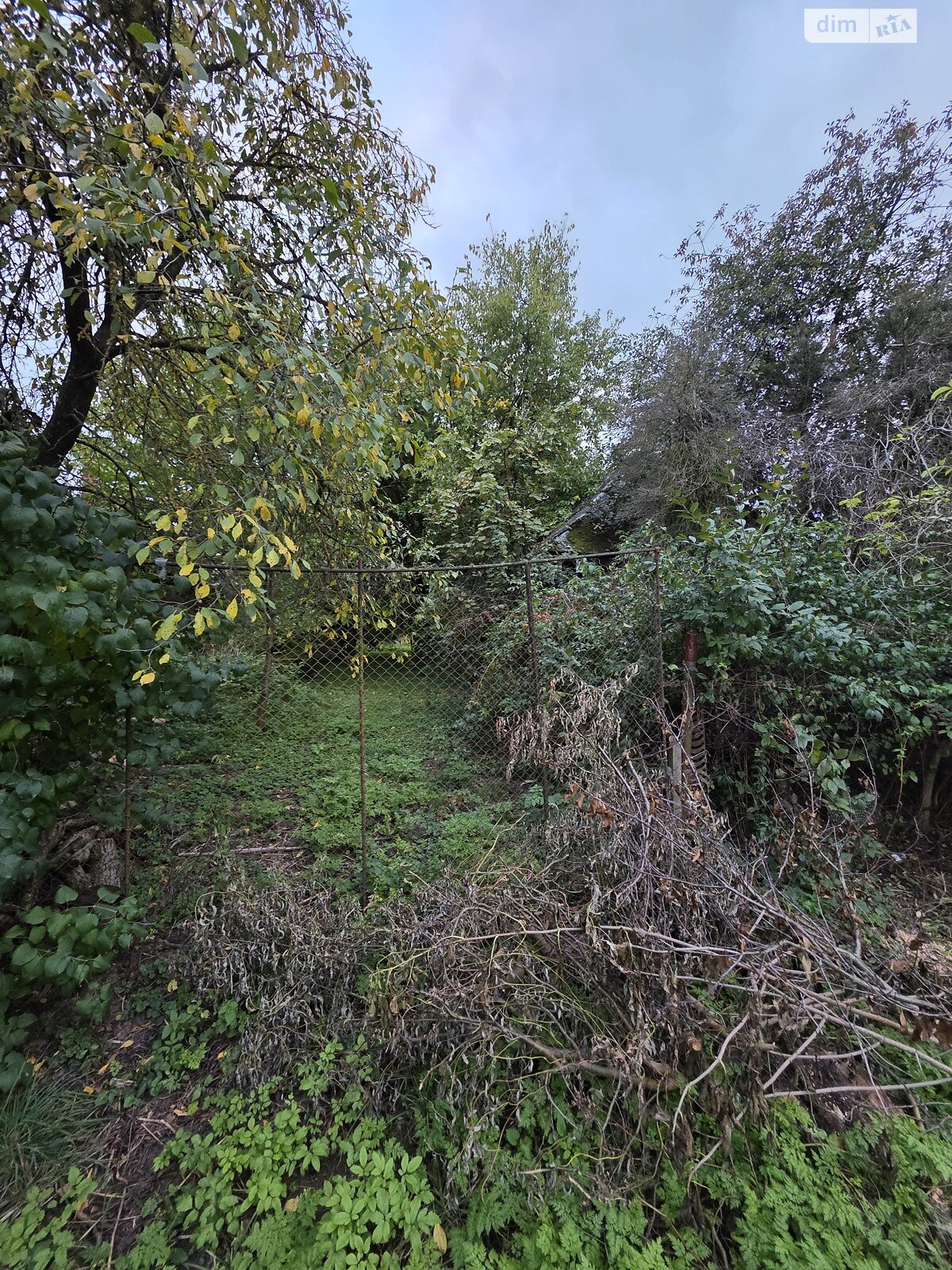 Земельна ділянка під житлову забудову в Сторожниці, площа 22 сотки фото 1