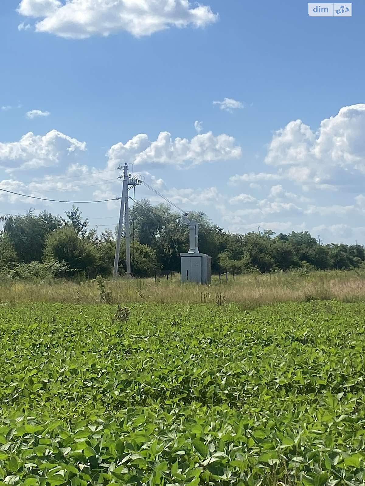 Земельна ділянка під житлову забудову в Сторожниці, площа 24 сотки фото 1