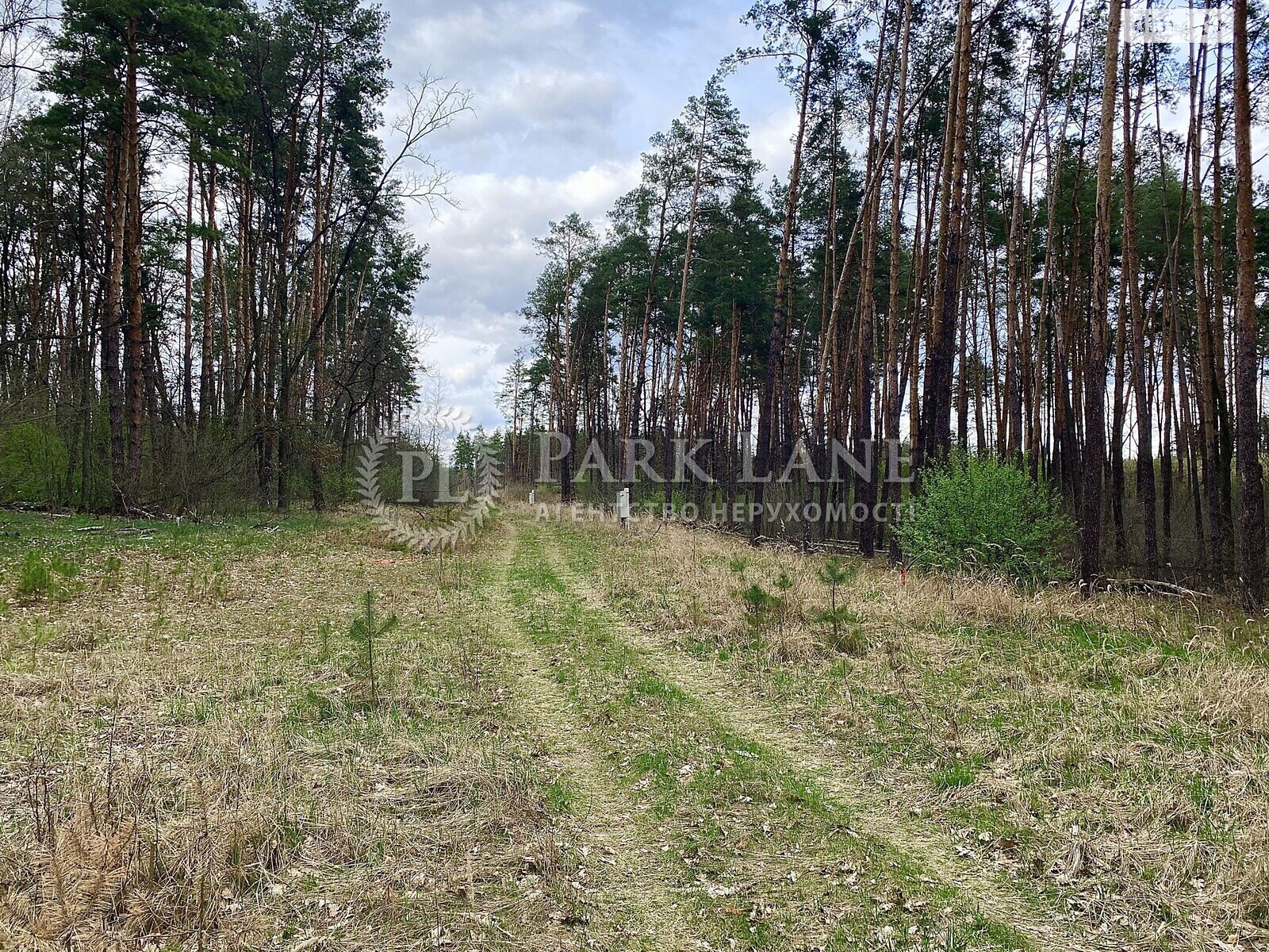 Земельный участок под жилую застройку в Стоянке, площадь 50 соток фото 1 Земельный участок под жилую застройку в Стоянке, площадь 50 соток фото 1