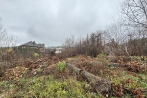 Земельный участок под жилую застройку в Стоянке, площадь 12 соток фото 2