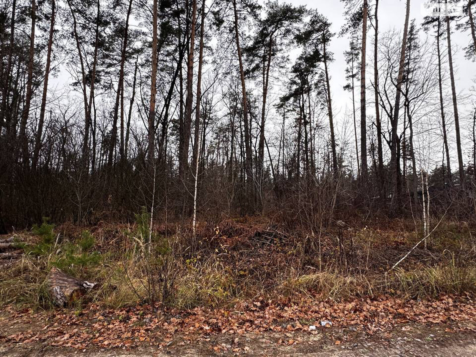 Земельный участок под жилую застройку в Стоянке, площадь 12 соток фото 1