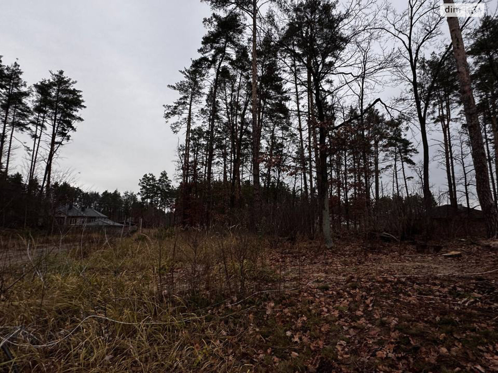 Земельный участок под жилую застройку в Стоянке, площадь 12 соток фото 1