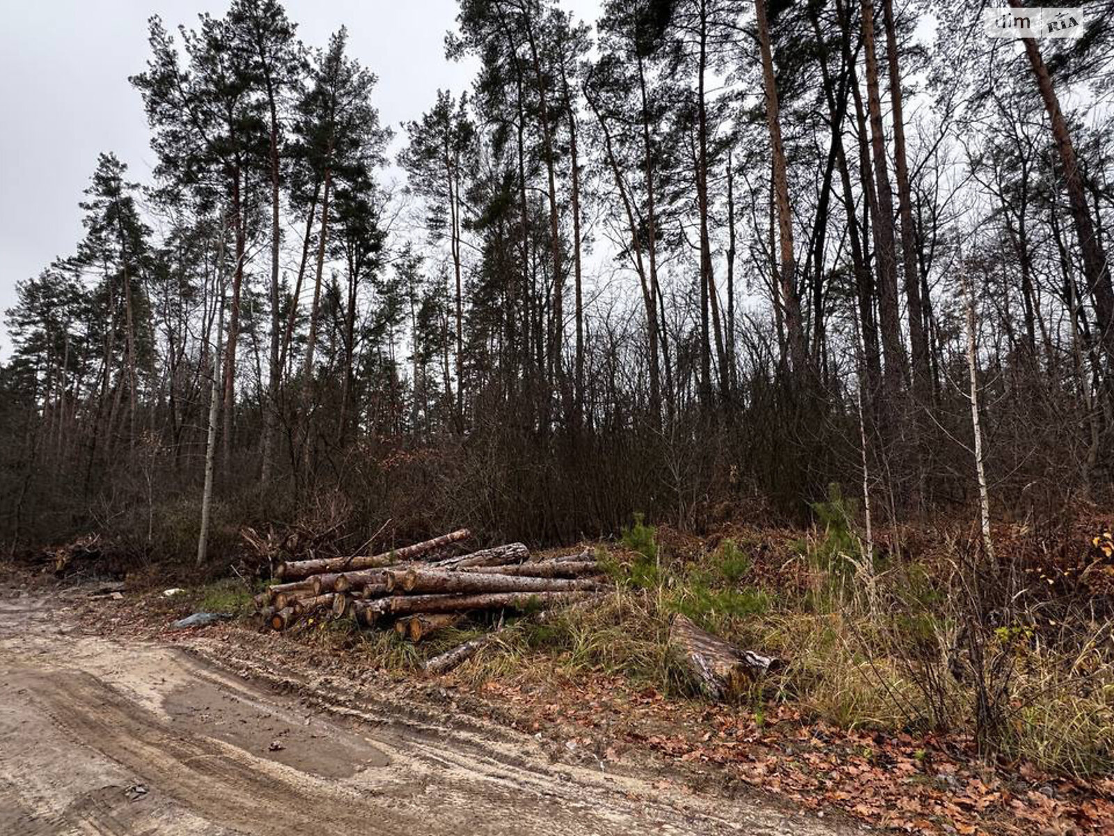 Земельный участок под жилую застройку в Стоянке, площадь 12 соток фото 1