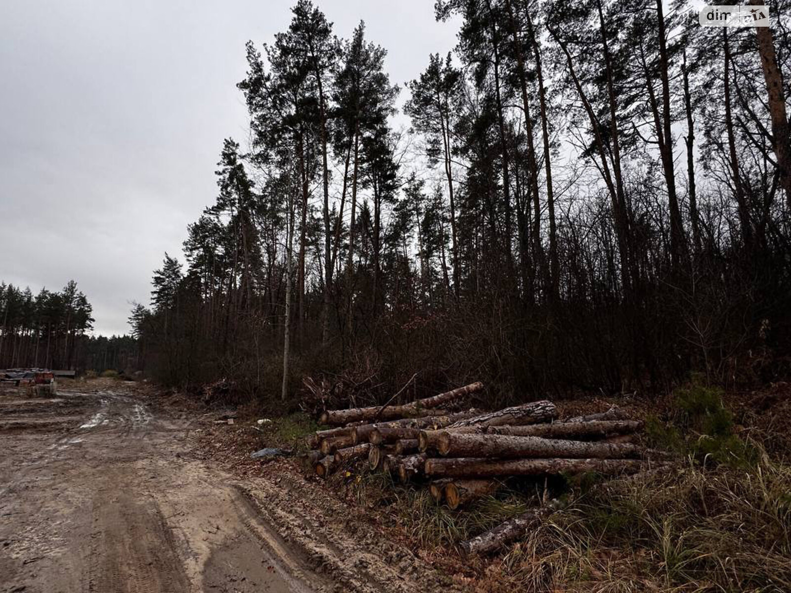 Земельный участок под жилую застройку в Стоянке, площадь 12 соток фото 1
