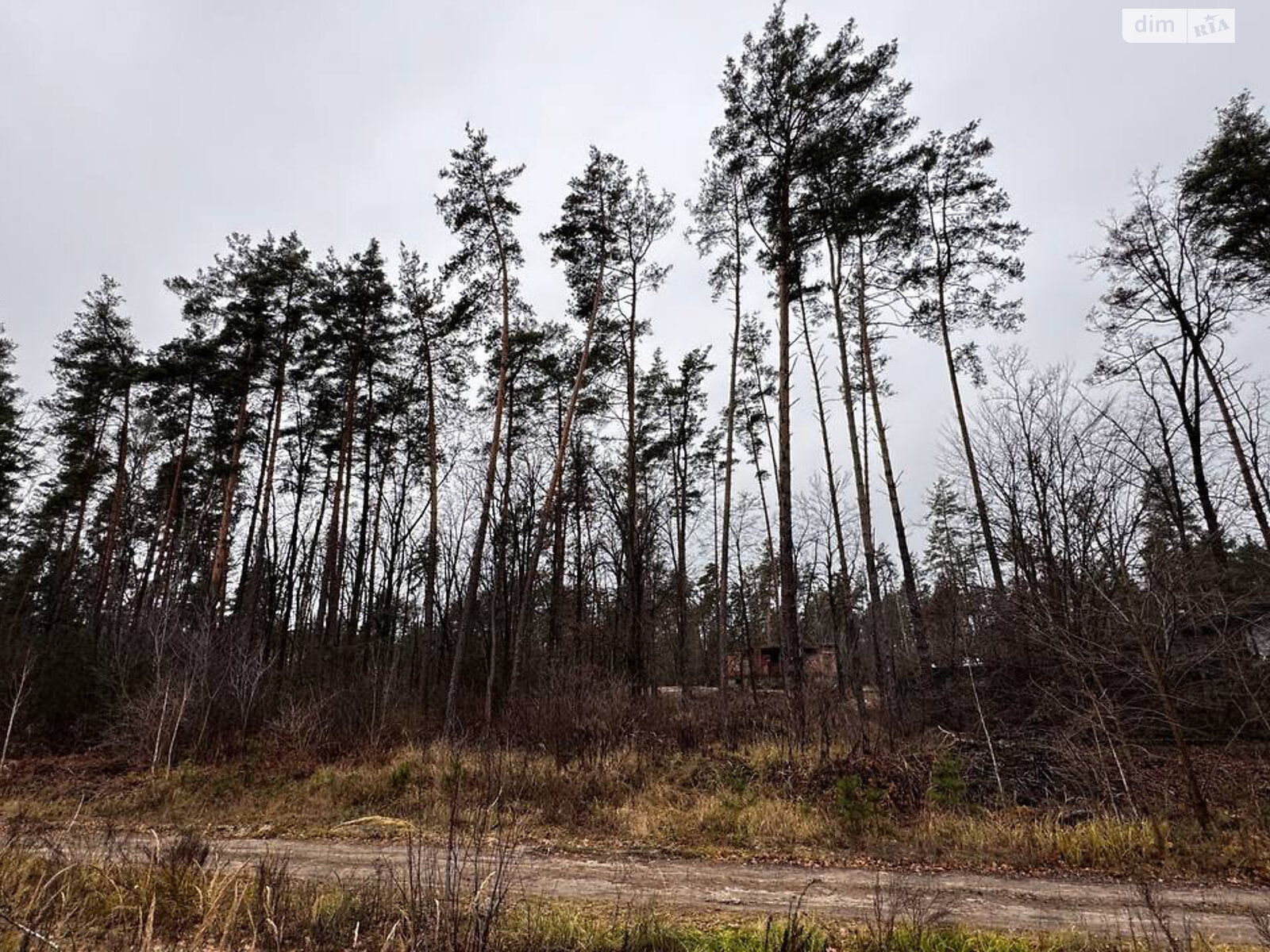 Земельный участок под жилую застройку в Стоянке, площадь 12 соток фото 1