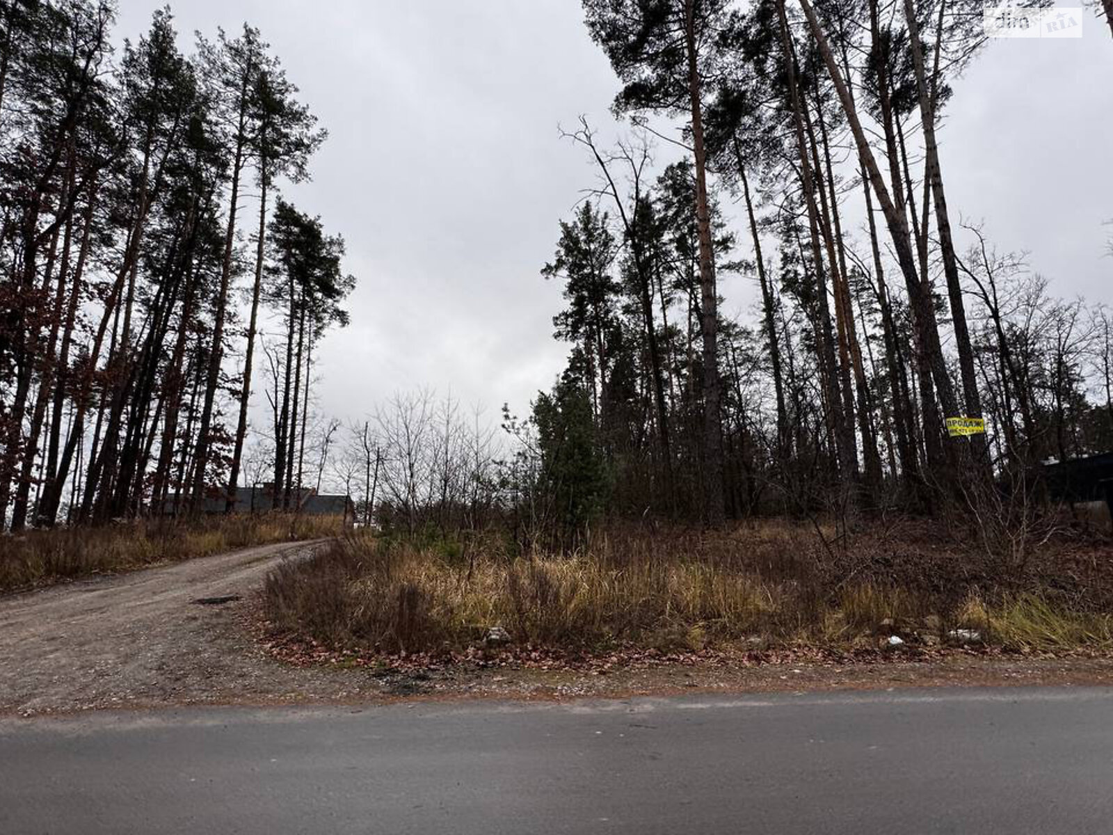 Земельный участок под жилую застройку в Стоянке, площадь 12 соток фото 1