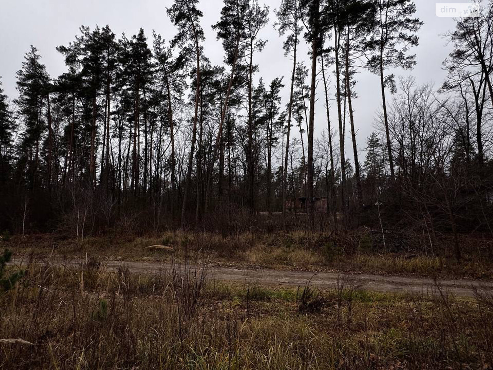 Земельный участок под жилую застройку в Стоянке, площадь 12 соток фото 1