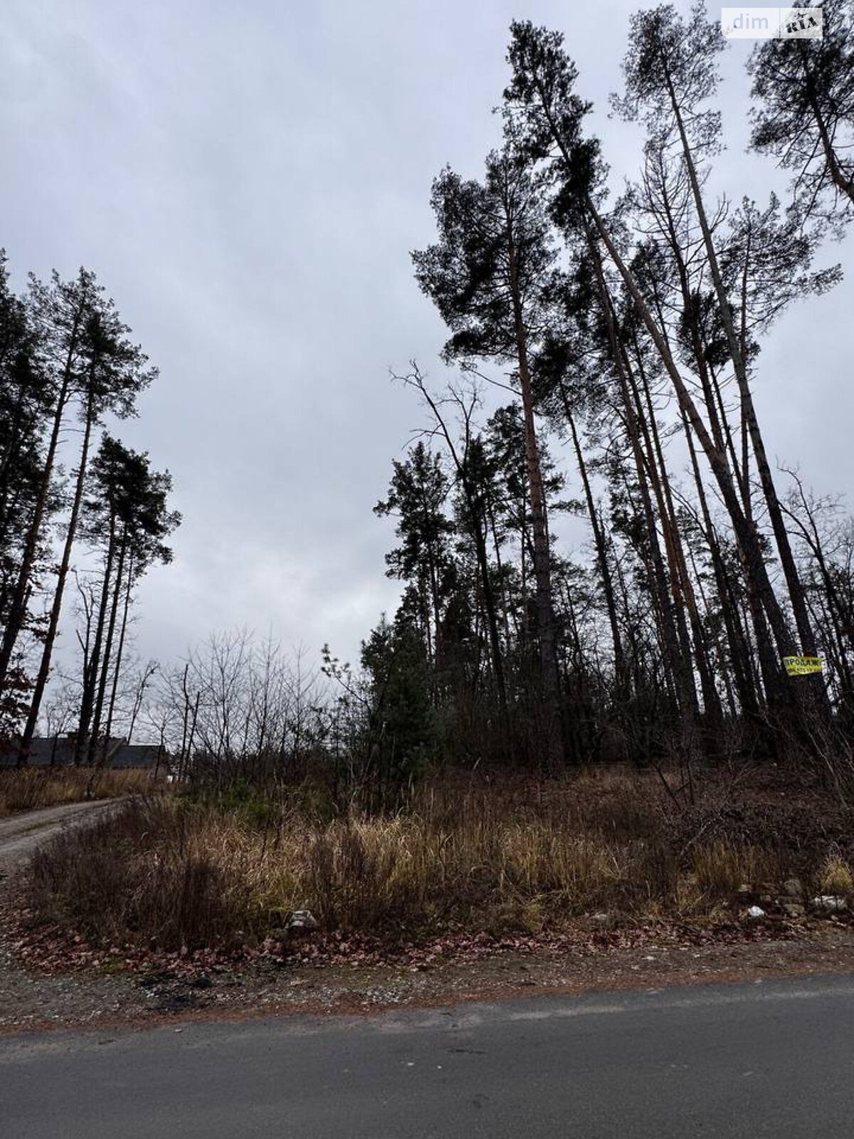 Земельный участок под жилую застройку в Стоянке, площадь 12 соток фото 1