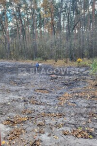 Земельна ділянка під житлову забудову в Стоянці, площа 10 соток фото 2