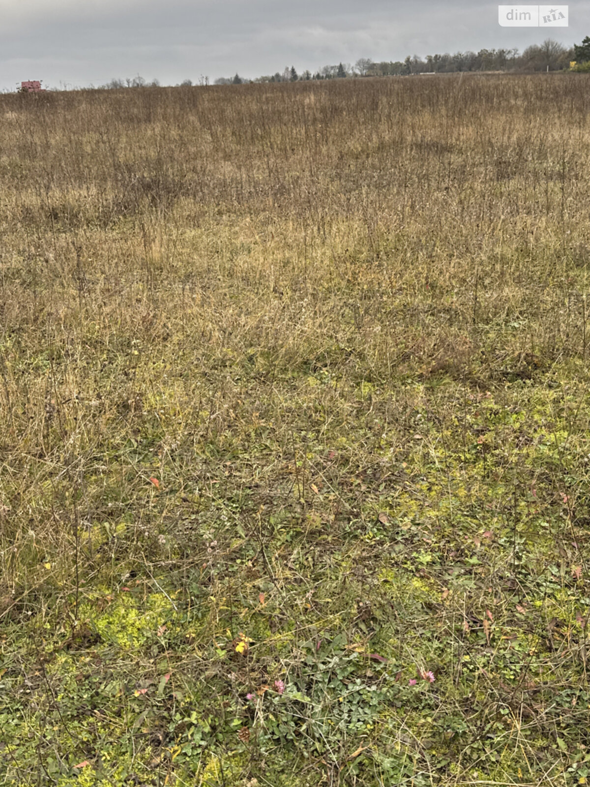 Земельный участок под жилую застройку в Стрижавке, площадь 9 соток фото 1