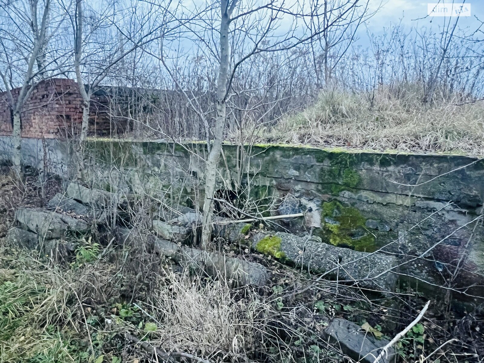 Земельна ділянка під житлову забудову в Стрижавці, площа 15 соток фото 1