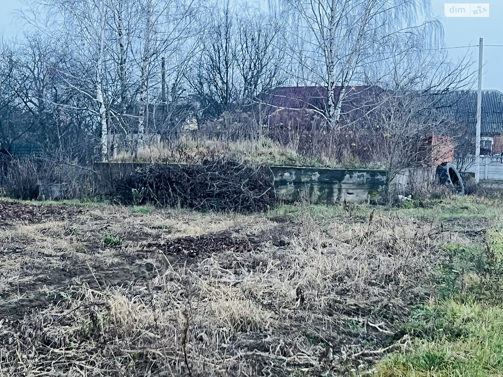 Земельна ділянка під житлову забудову в Стрижавці, площа 15 соток фото 1