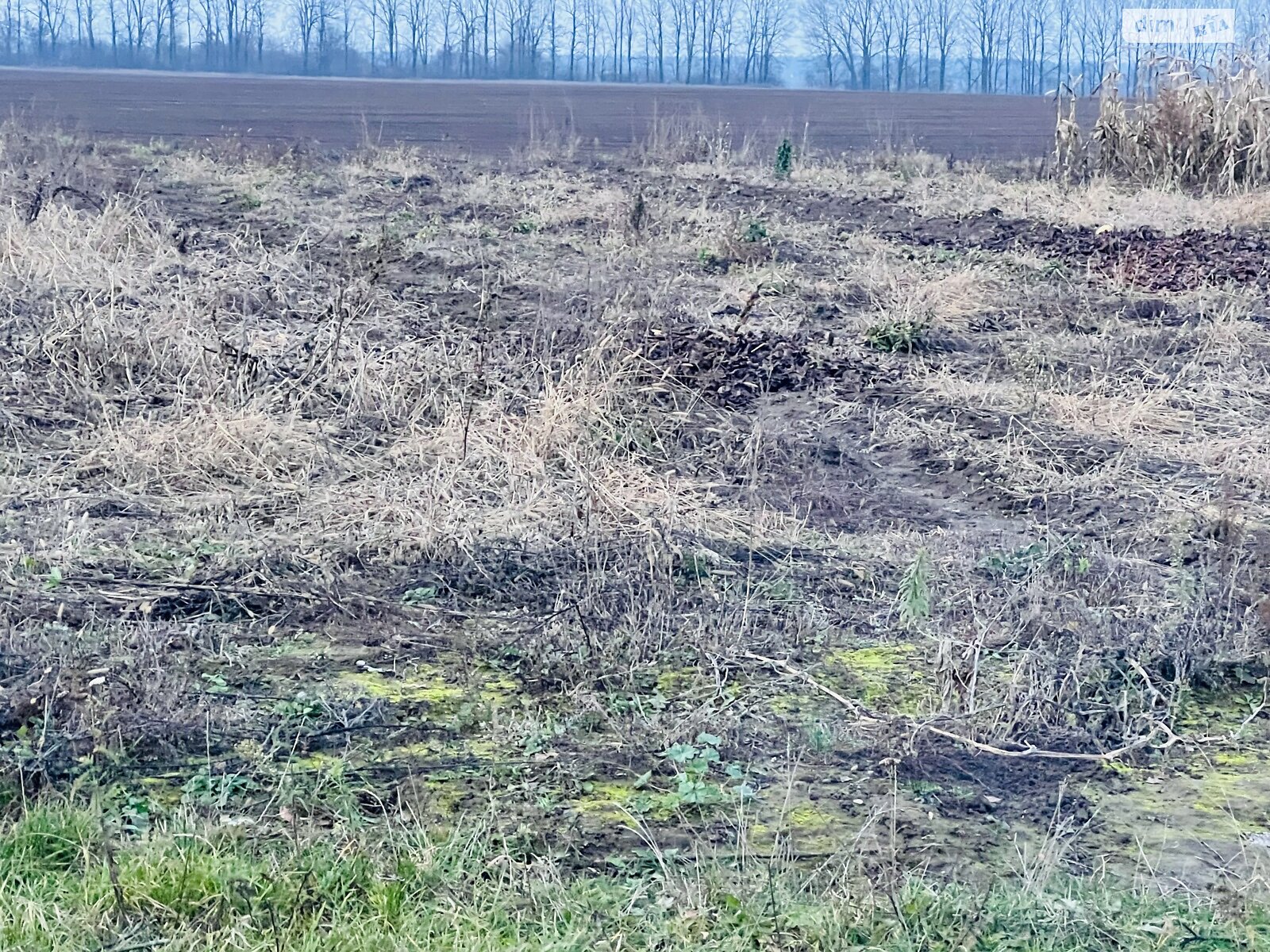 Земельна ділянка під житлову забудову в Стрижавці, площа 15 соток фото 1