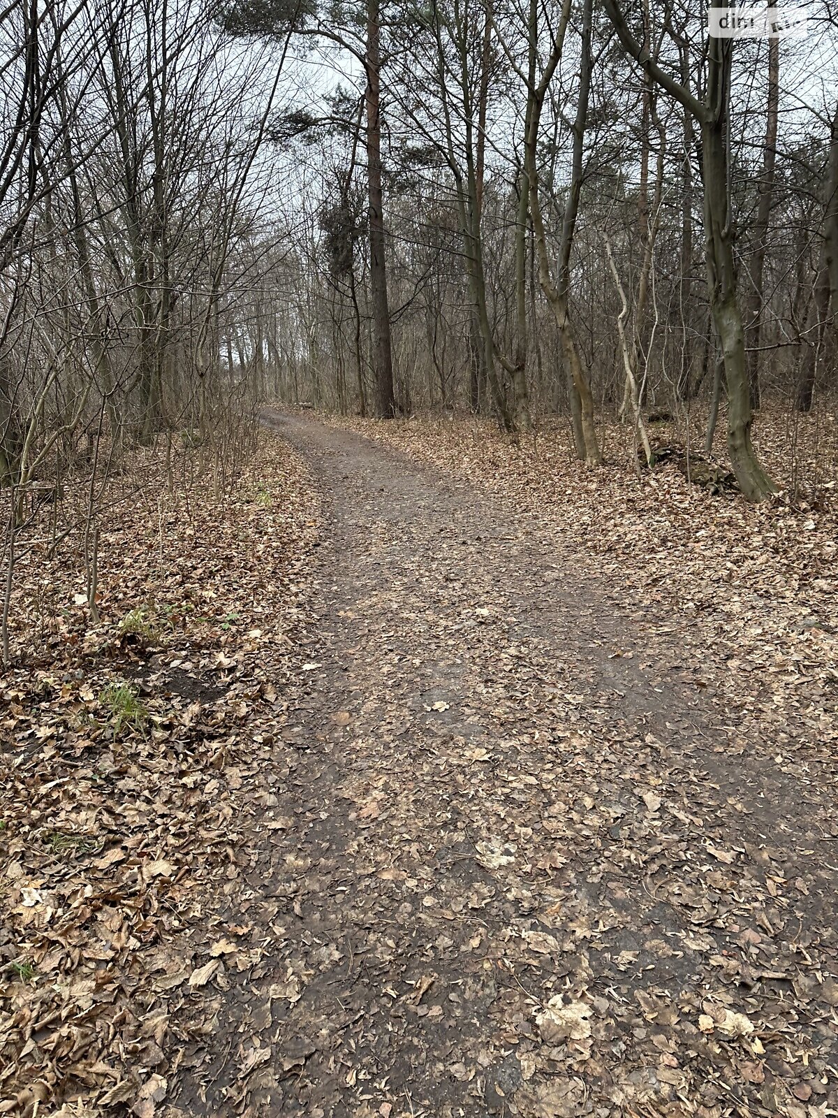 Земельный участок под жилую застройку в Стрижавке, площадь 18.13 сотки фото 1 Земельный участок под жилую застройку в Стрижавке, площадь 18.13 сотки фото 1