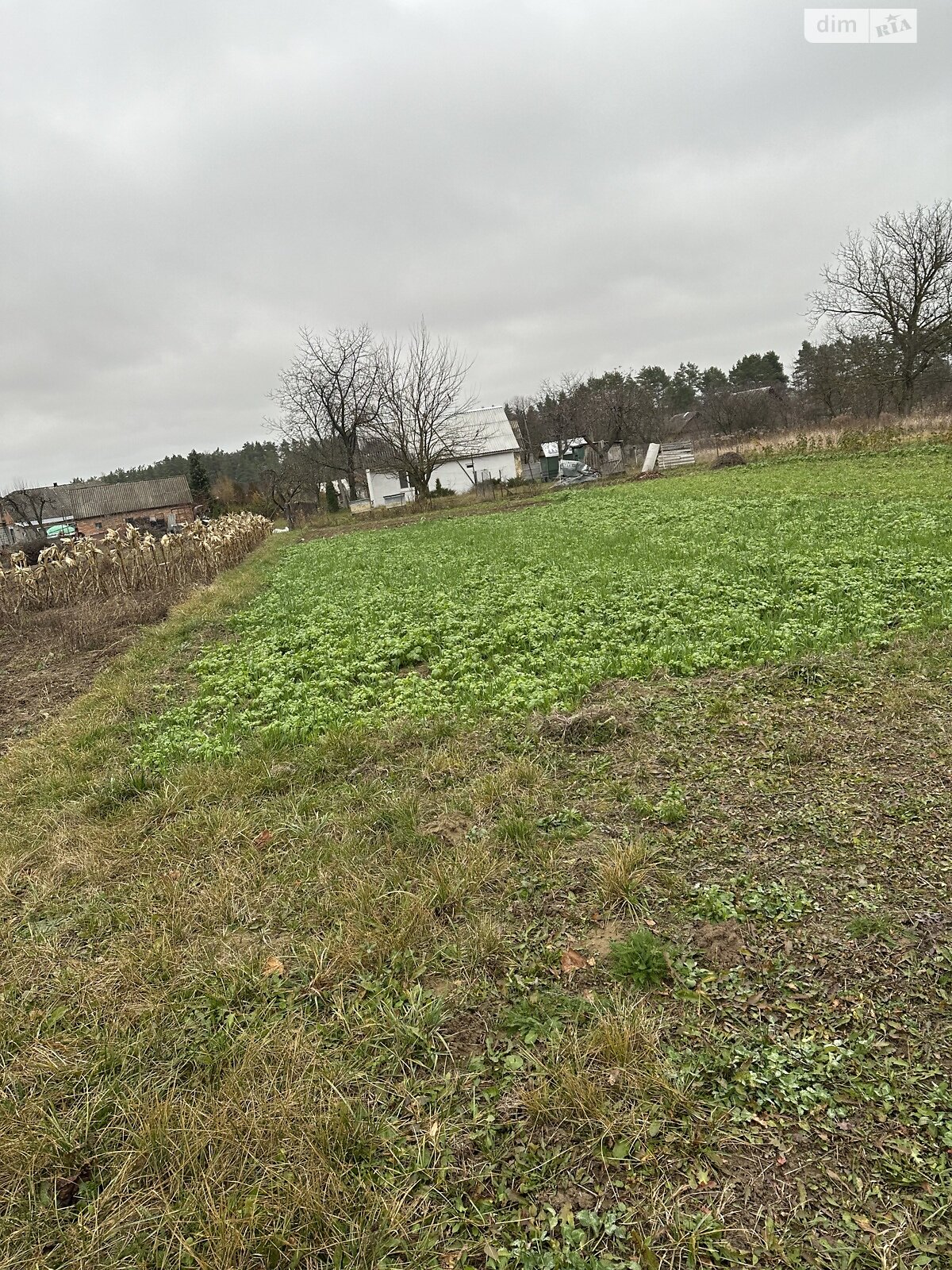 Земельный участок под жилую застройку в Стрижавке, площадь 18.13 сотки фото 1 Земельный участок под жилую застройку в Стрижавке, площадь 18.13 сотки фото 1