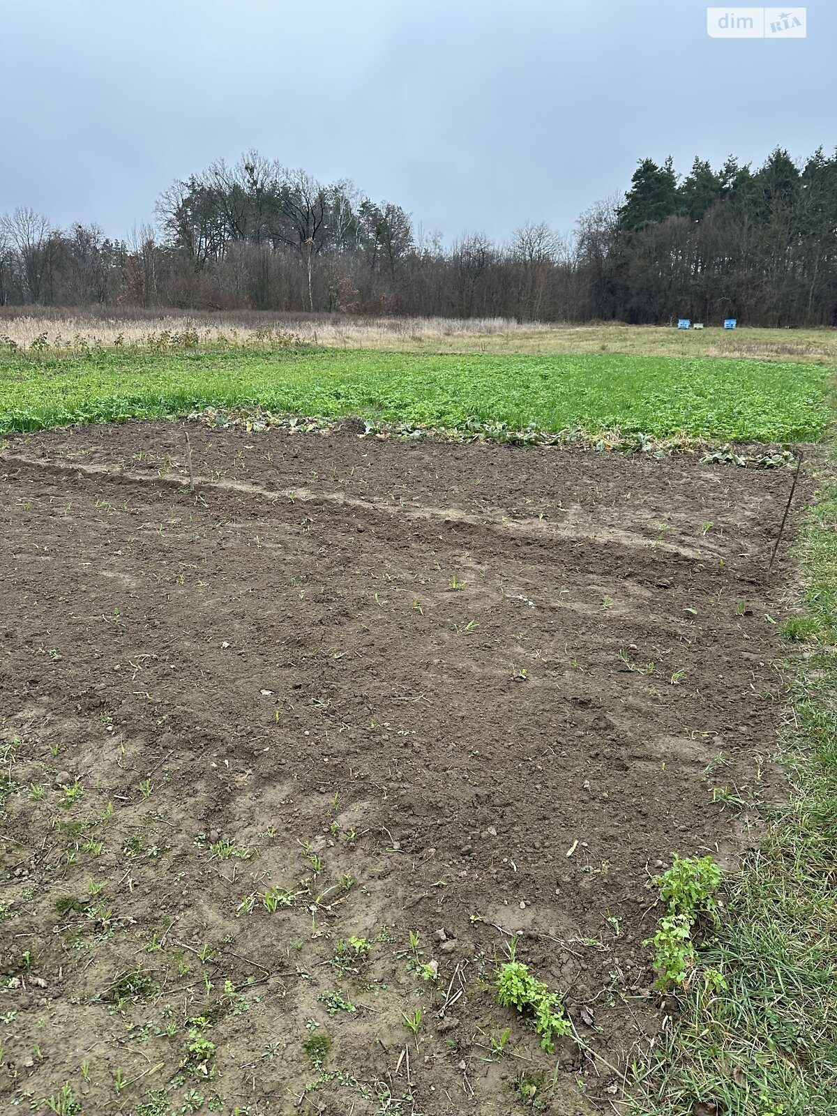 Земельный участок под жилую застройку в Стрижавке, площадь 18.13 сотки фото 1 Земельный участок под жилую застройку в Стрижавке, площадь 18.13 сотки фото 1