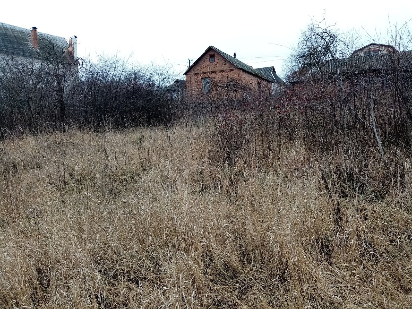 Земельна ділянка під житлову забудову в Стрижавці, площа 30 соток фото 1
