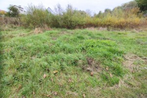 Земельна ділянка під житлову забудову в Стрижавці, площа 15 соток фото 2