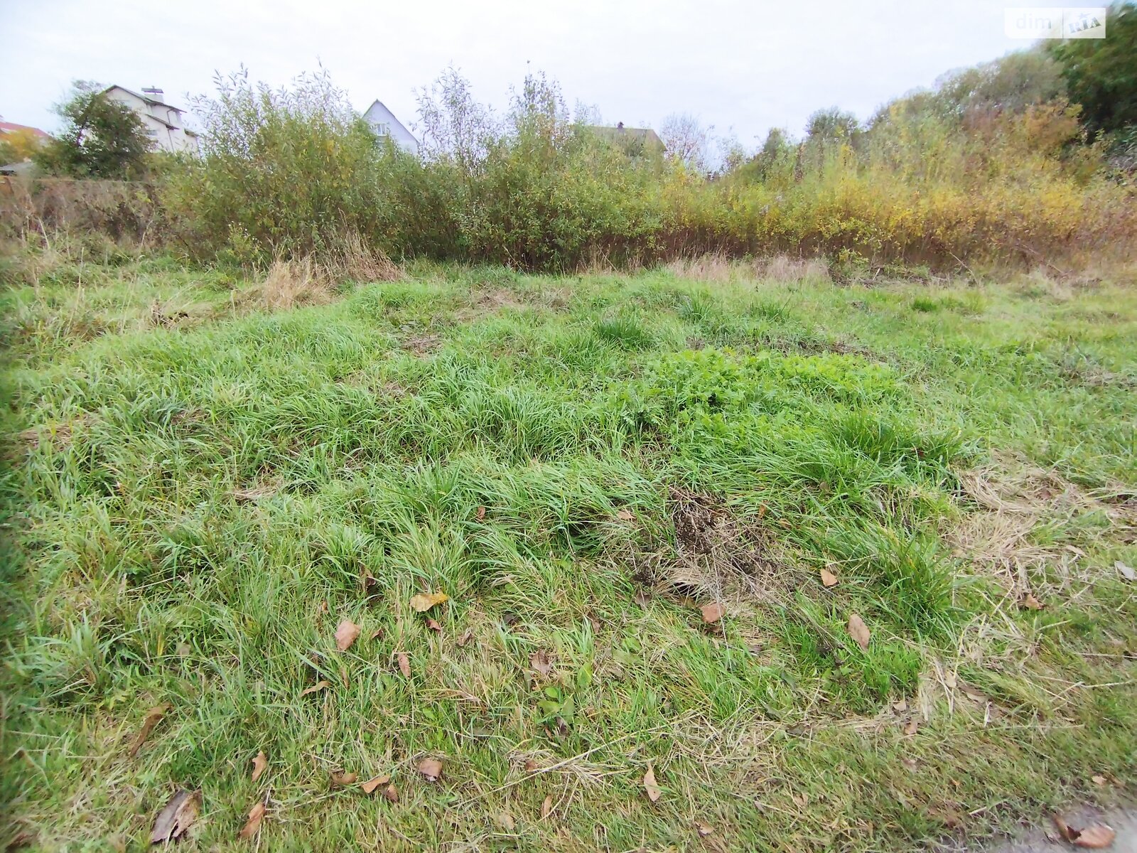 Земельна ділянка під житлову забудову в Стрижавці, площа 15 соток фото 1