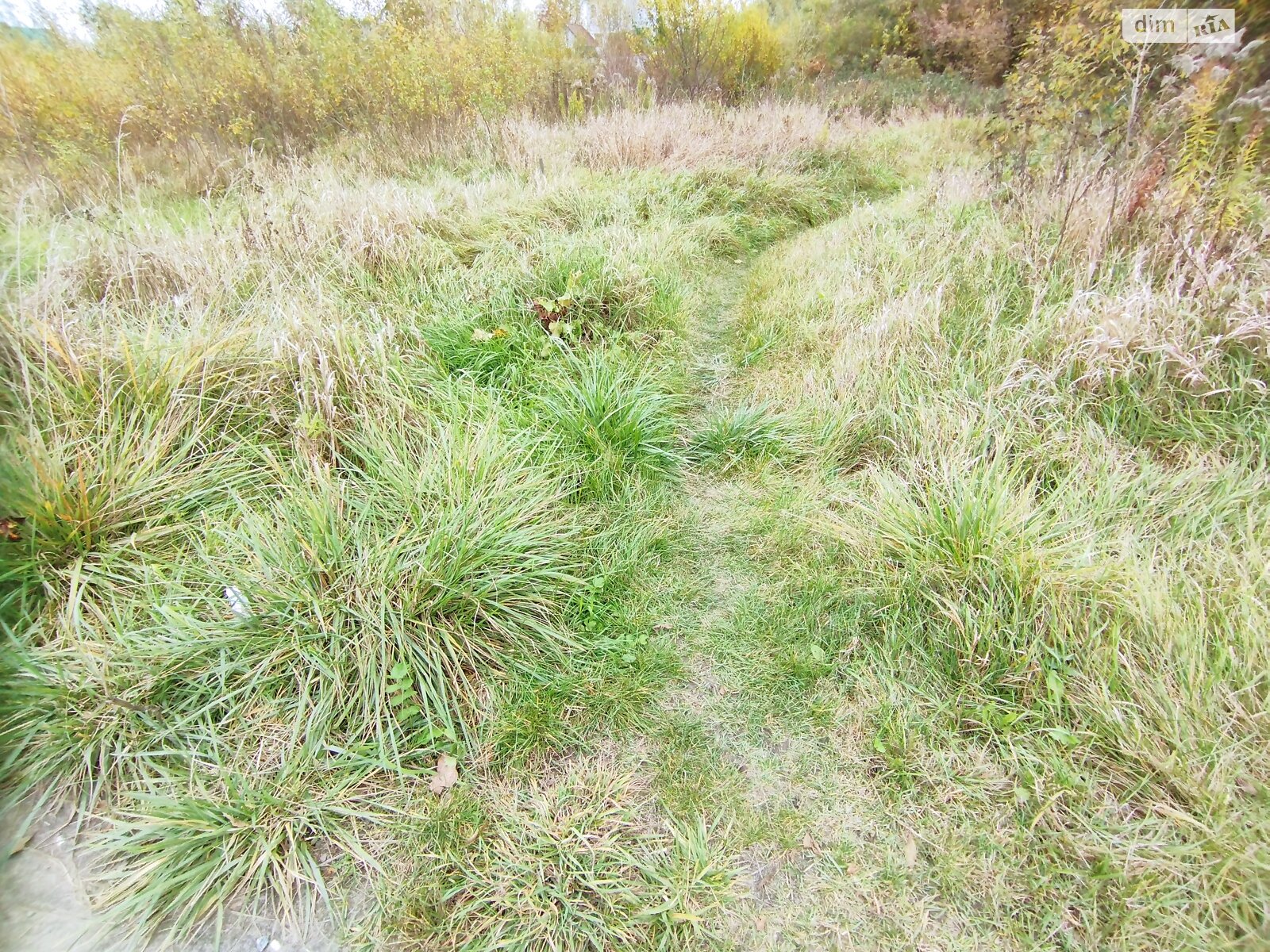 Земельна ділянка під житлову забудову в Стрижавці, площа 15 соток фото 1