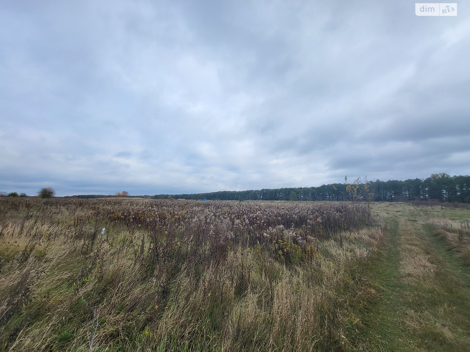 Земельна ділянка під житлову забудову в Стрижавці, площа 12 соток фото 1