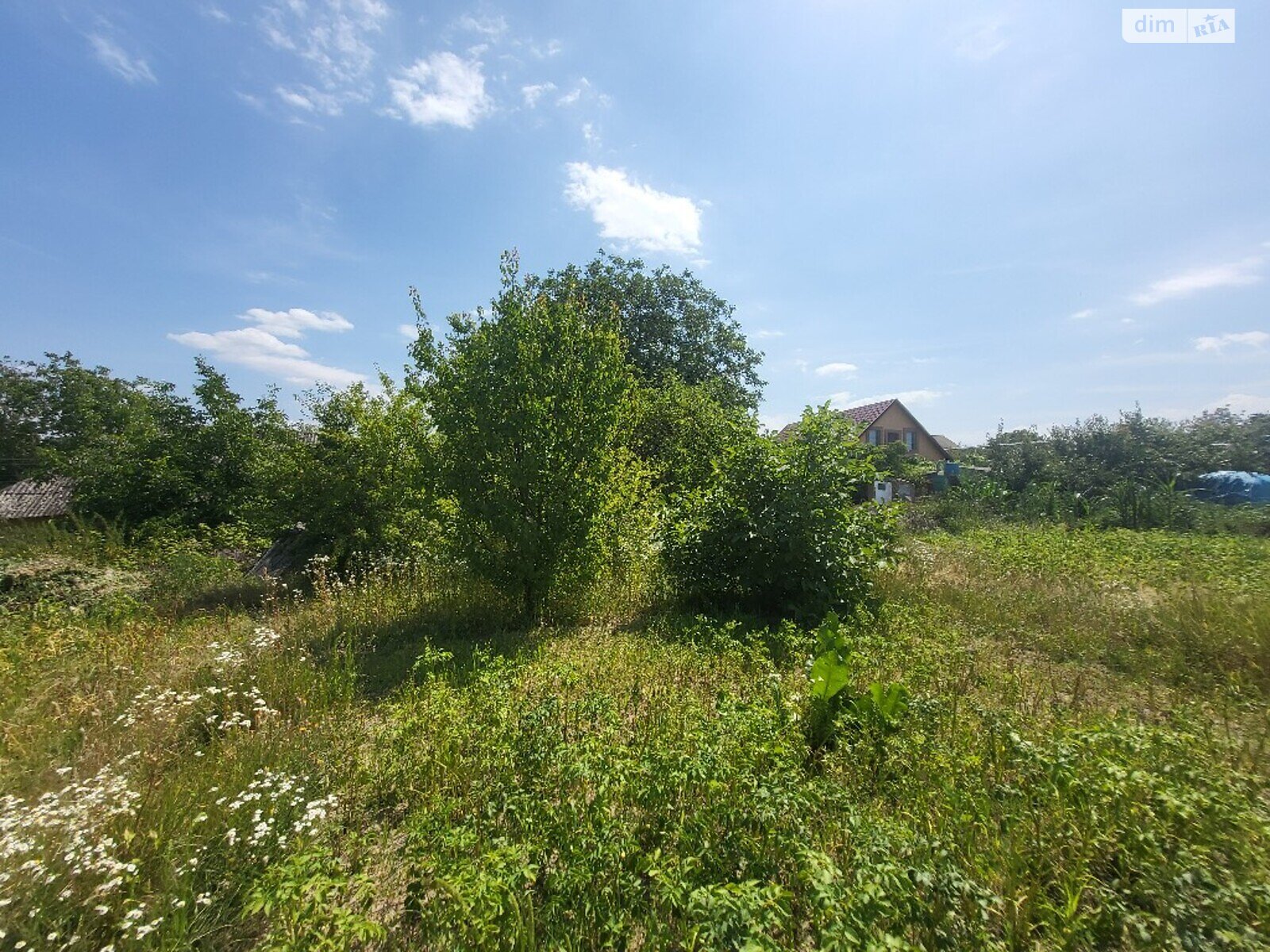 Земельна ділянка під житлову забудову в Стрижавці, площа 19 соток фото 1