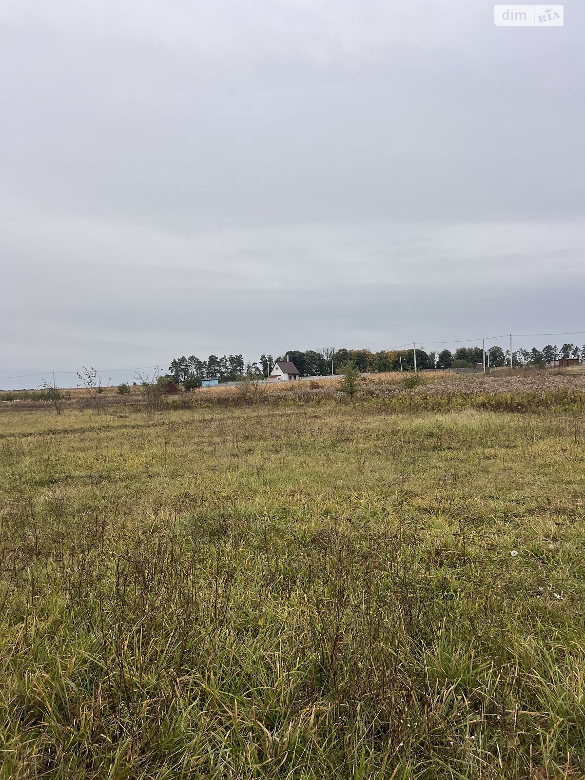 Земельна ділянка під житлову забудову в Стрижавці, площа 10 соток фото 1