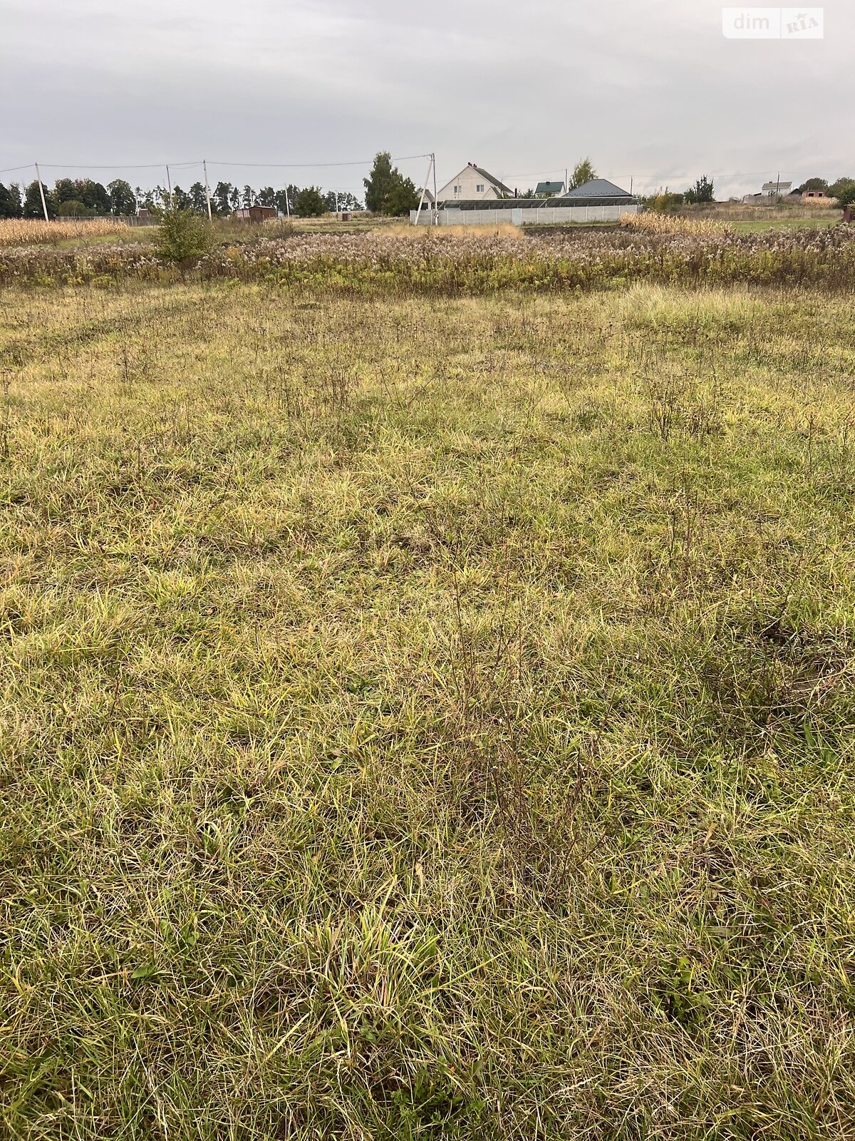 Земельна ділянка під житлову забудову в Стрижавці, площа 10 соток фото 1