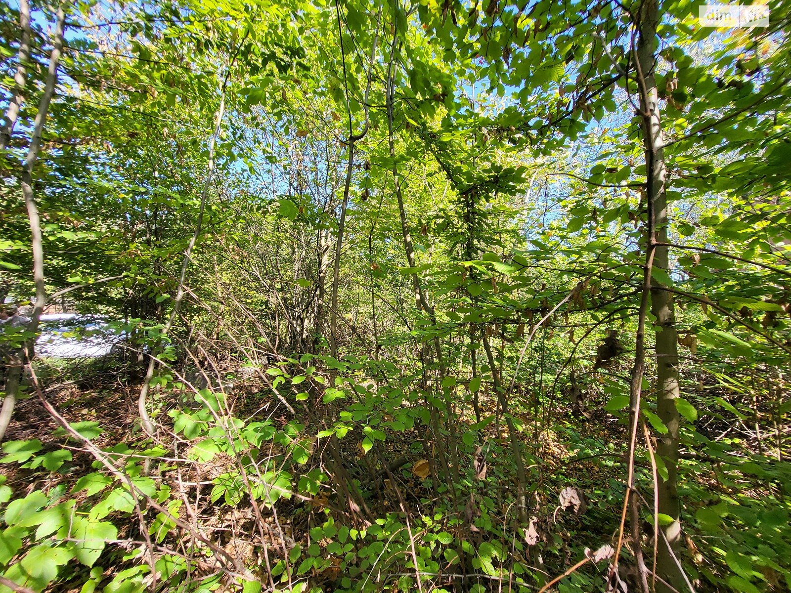 Земельный участок под жилую застройку в Стрижавке, площадь 4 сотки фото 1