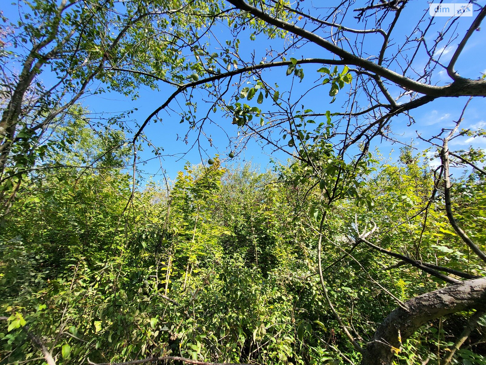 Земельный участок под жилую застройку в Стрижавке, площадь 4 сотки фото 1