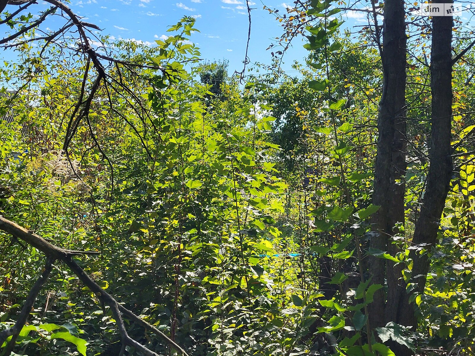 Земельный участок под жилую застройку в Стрижавке, площадь 4 сотки фото 1