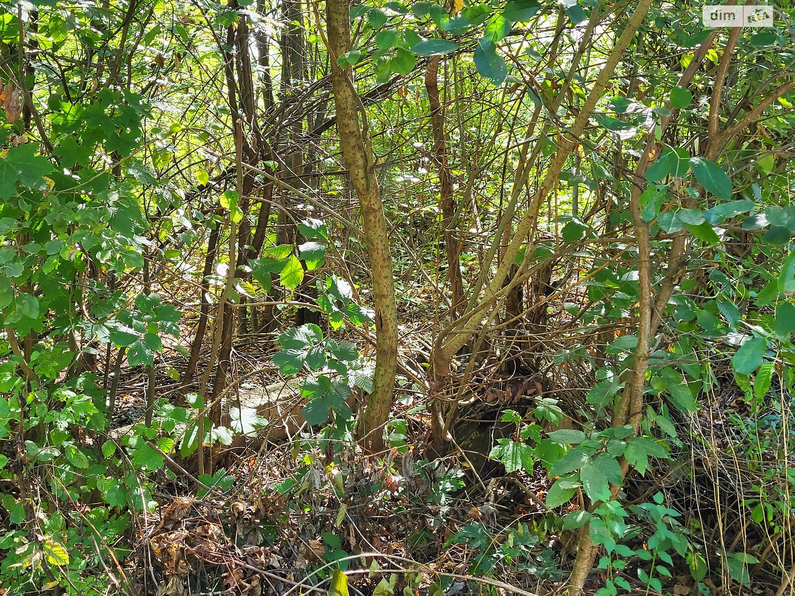 Земельный участок под жилую застройку в Стрижавке, площадь 4 сотки фото 1