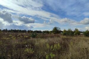 Земельна ділянка під житлову забудову в Стрижавці, площа 8 соток фото 2