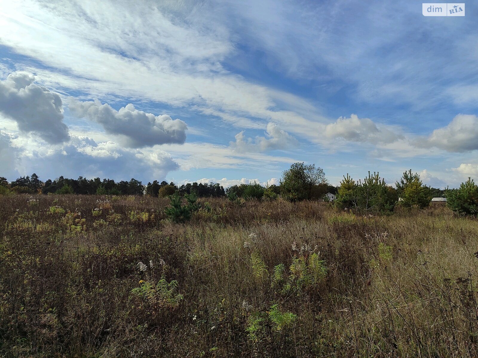 Земельна ділянка під житлову забудову в Стрижавці, площа 8 соток фото 1