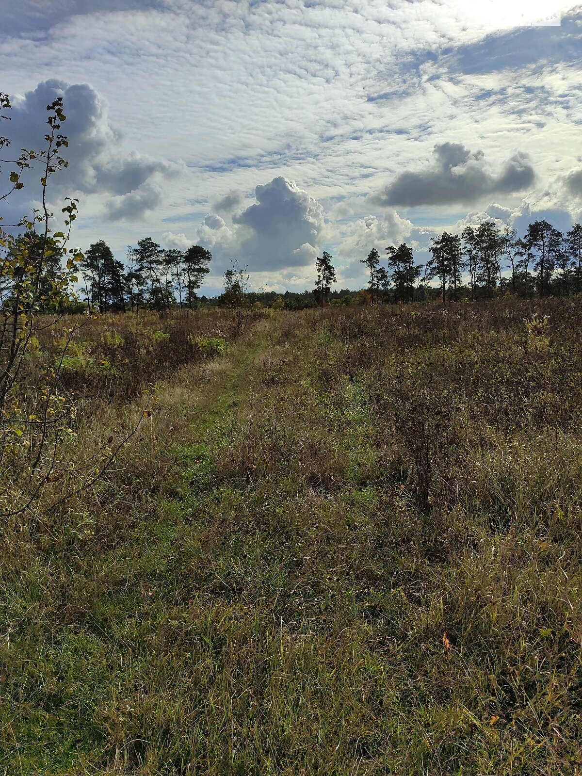 Земельна ділянка під житлову забудову в Стрижавці, площа 8 соток фото 1